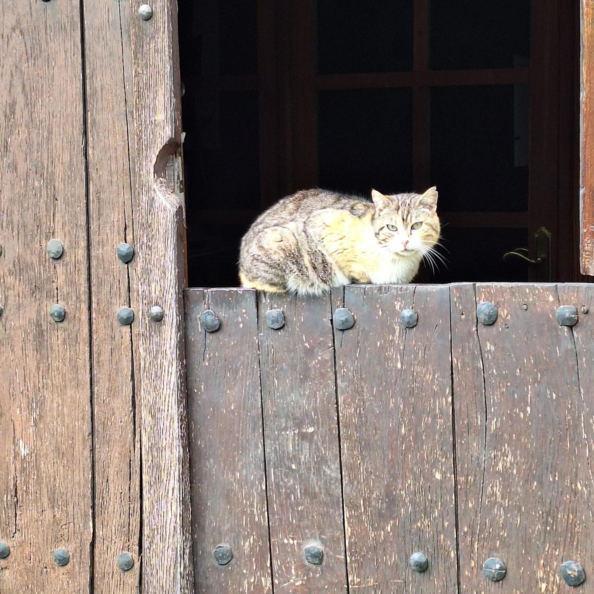Casa Rural Areano Escoriaza Ngoại thất bức ảnh